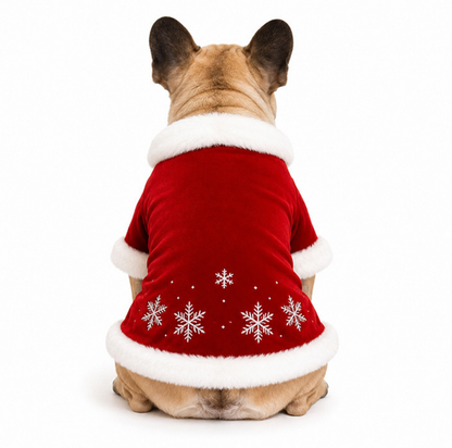 Christmas Party Outfits & Costumes ¨C For Adults, Children, and Pets