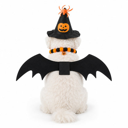 3-Piece Halloween Costume Set: Witch Hat, Spider & Pumpkin Hat, and Pom-pom Bell Collar with Bat Wings